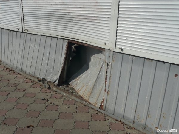 ДТП на Рівненській: автівка в'їхала в магазин. ФОТО