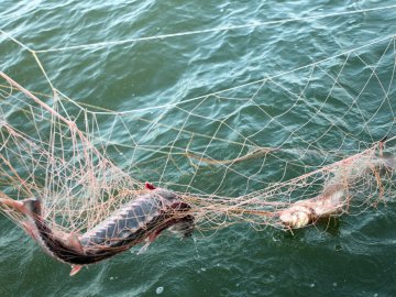 Завдав шкоди майже на 100 тисяч: судитимуть волинянина, який незаконно ловив рибу