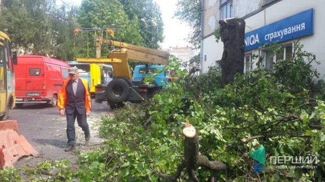 У центрі Луцька ремонтують вулицю і зрізають дерева. ФОТО