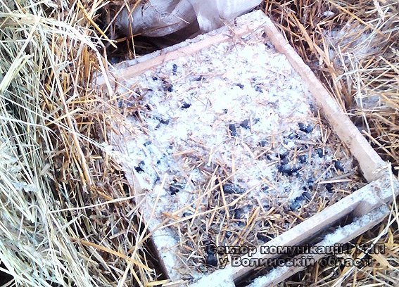 Чоловік обікрав ферму на 5 тисяч гривень. ФОТО