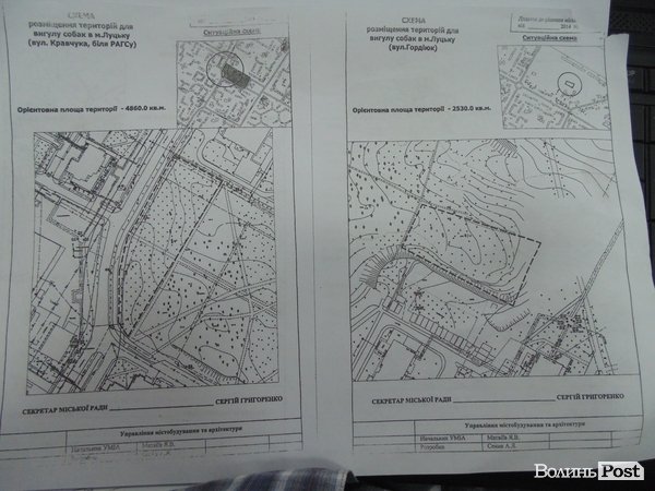 У Луцьку визначили місця, де можна вигулювати собак. КАРТА