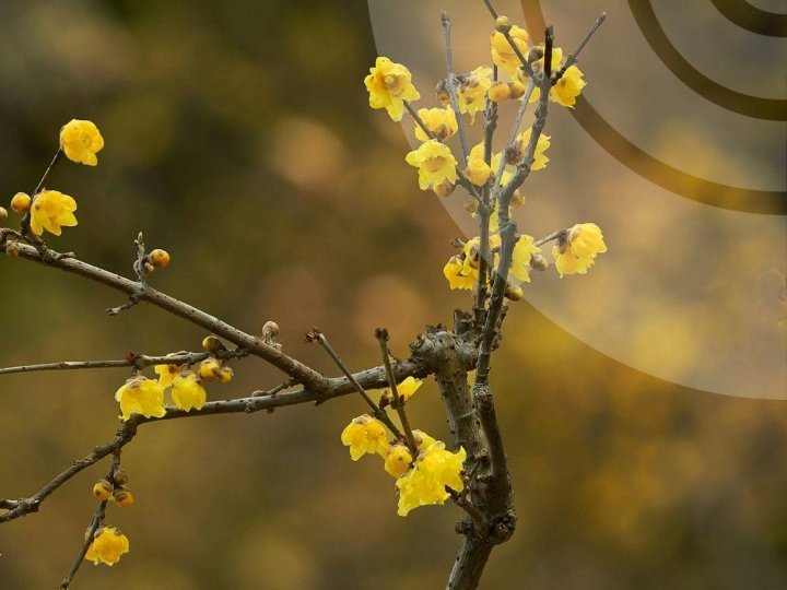 Погода у Луцьку побила рекорд, який тримався понад 40 років
