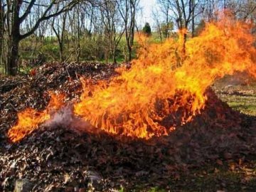 На Волині екоінспектори шукатимуть паліїв сухого листя