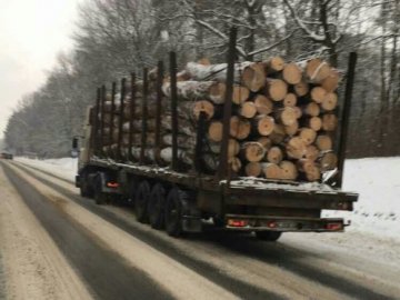 У Луцьку колода з вантажівки ледь не розтрощила авто