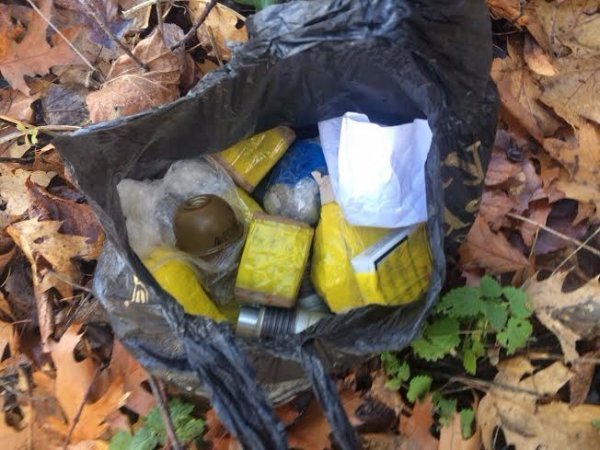 Неподалік Луцька виявили схованку з боєприпасами. ФОТО