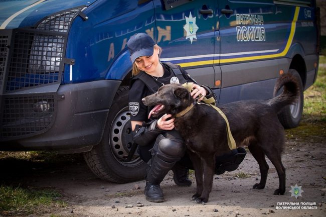Добро робити легко: як волинські патрульні фотографувалися з безпритульними песиками