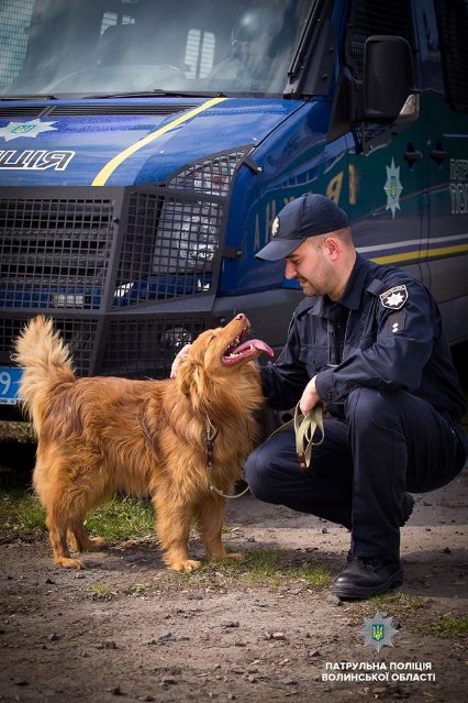 Добро робити легко: як волинські патрульні фотографувалися з безпритульними песиками