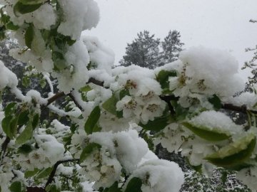 Багато країн Європи засипало снігом. ФОТО