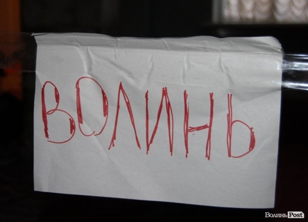 Волиняни на Майдані в Києві. ФОТО