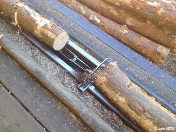 Волинські лісівники похизувались пасікою та цехом переробки деревини. ФОТО