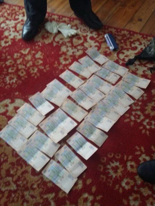 Хабар за бурштинові землі Волині: подробиці затримання від СБУ