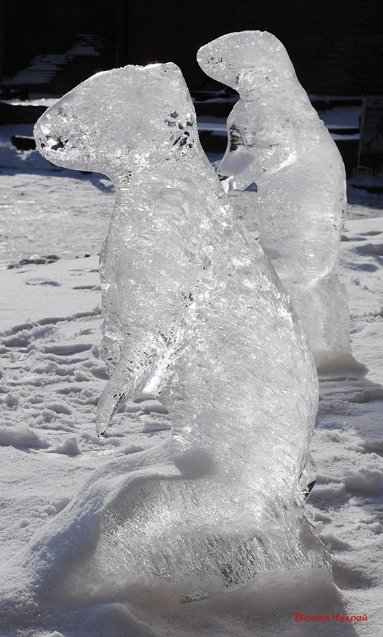 Луцький фотограф у замку Любарта зустрів місцевих привидів. ФОТО