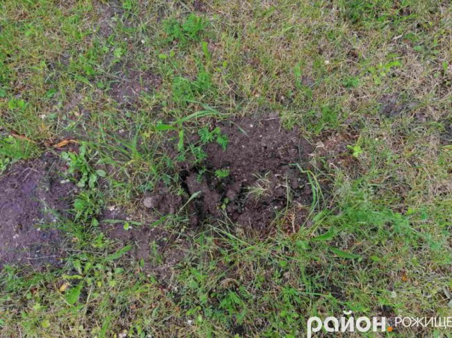 У місті на Волині з навчально-реабілітаційного центру викрали туї