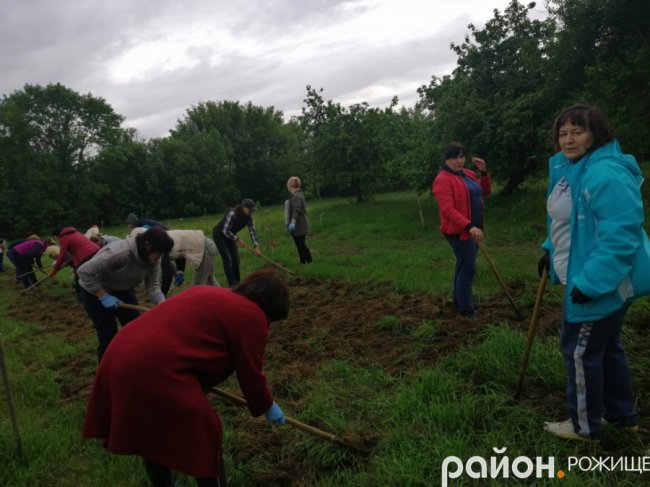 У місті на Волині з навчально-реабілітаційного центру викрали туї