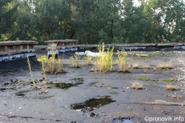 Як у Нововолинську занепадає міжшкільний комбінат. ФОТО