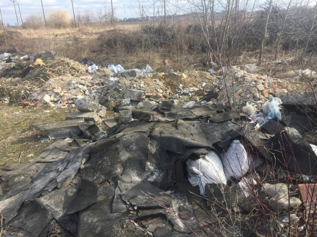 У Рожищі навесні вздовж доріг  «квітують» купи непотребу 