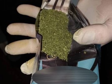 Сімейний бізнес: у волинського подружжя вилучили наркотиків на 20 тисяч. ФОТО