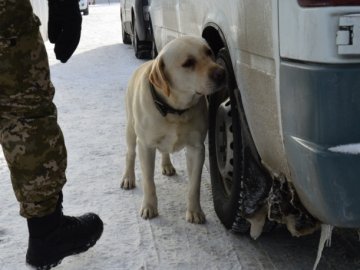 На «Ягодині» пес винюхав партію наркотиків