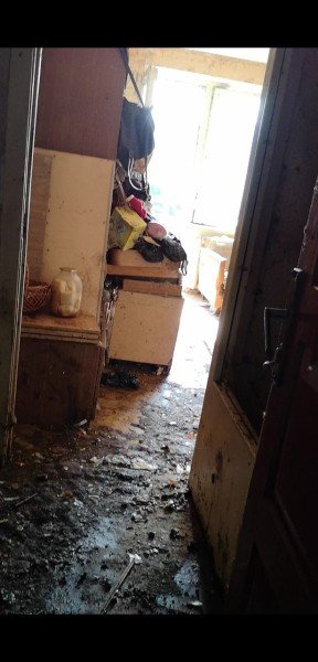 «Таргани завдовжки з палець», – лучанка про квартиру сусідів-нечупар. ФОТО