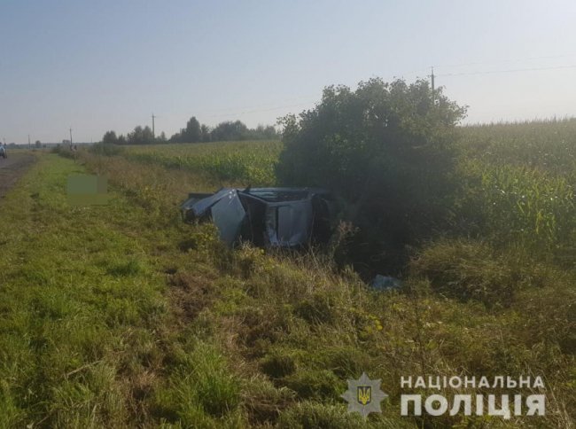Смертельна ДТП на Волині: водій з'їхав з дороги та влетів у дерево