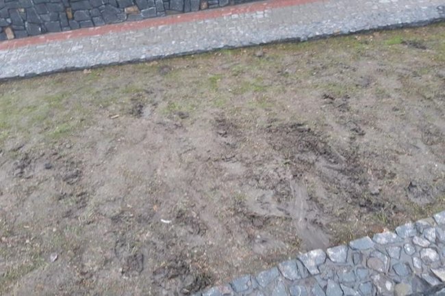 У Рожищі діти затоптали пам'ятний сквер. ФОТО