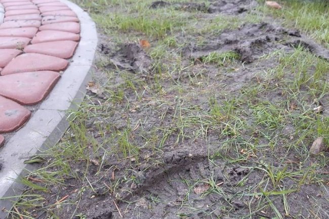 У Рожищі діти затоптали пам'ятний сквер. ФОТО