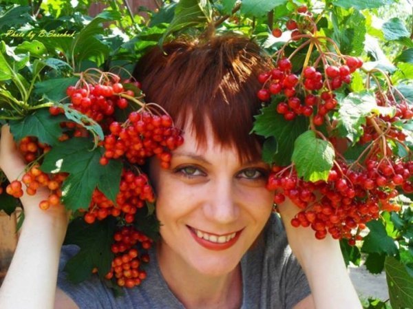 Українська жінка в калині. Україна, Волинська обл., Любешівський район, смт Любешів, 30.07.2012р. Автор фото Богдан Сащук.