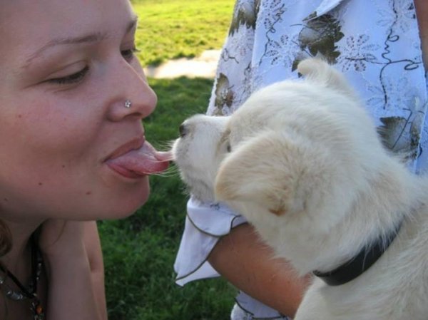 Ось який він - поцілунок по-французьки... Селище Рокині - музей під відкритим небом. Червень 2009 року. Автор Юлія Антонюк