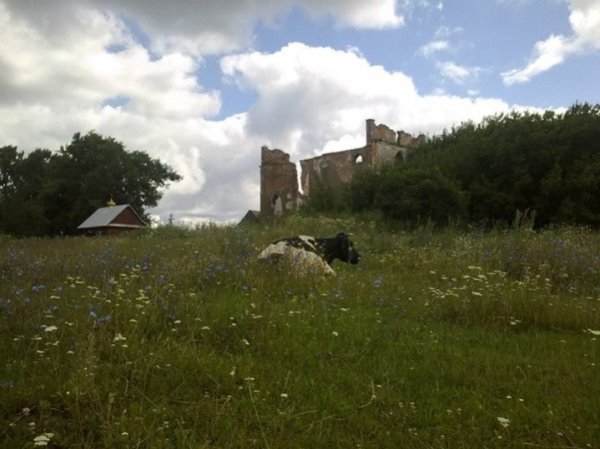 Волинська Шотландія. Маєток Корвін-Пітровських. 21.07.2013 с.Прилуцьке. Автор Олександр Стеренчук