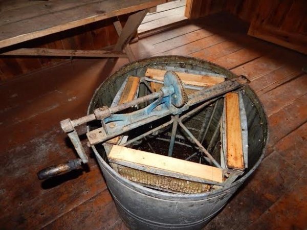 На Волині зібрали перший урожай меду. ФОТО