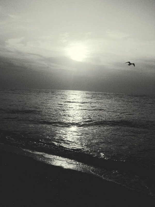 Автор - Ткачик Оля