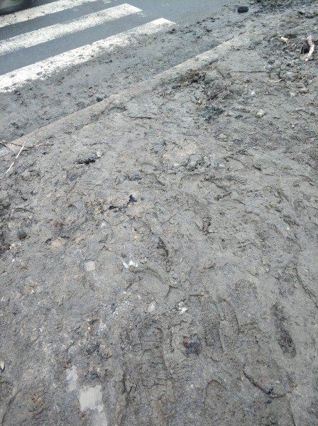 Біля луцької школи замість тротуарів – болото. ФОТО