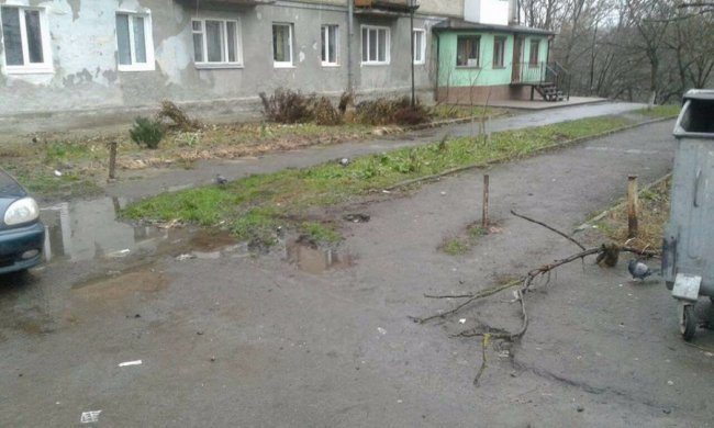 Луцькі муніципали «знесли» чергову «партію» обмежувачів руху. ФОТО