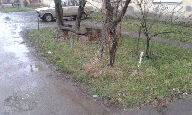 Луцькі муніципали «знесли» чергову «партію» обмежувачів руху. ФОТО