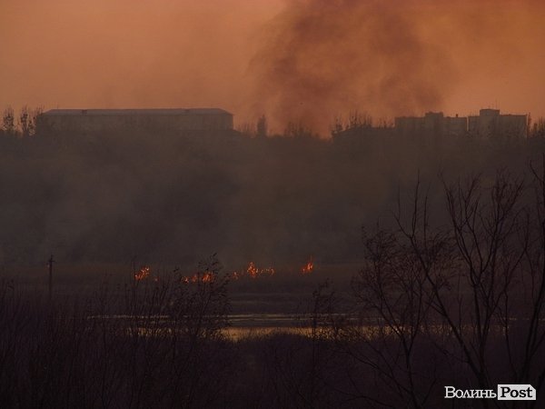 Чому постійно підпалюють Гнідавське болото. ФОТО. ВІДЕО