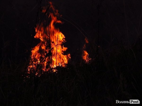 Чому постійно підпалюють Гнідавське болото. ФОТО. ВІДЕО
