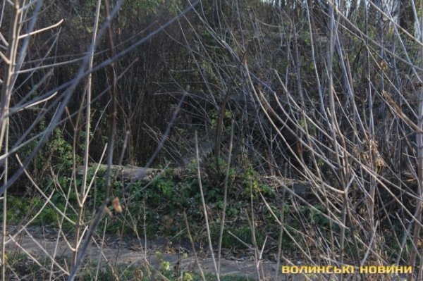 Чи безпечні атракціони у Центральному парку в Луцьку? ФОТО*