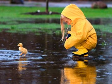 Дощ із грозою: погода у Луцьку у неділю, 29 липня