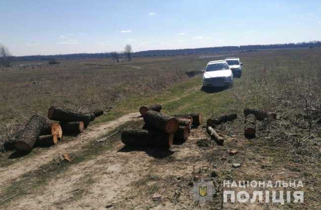 У Луцькому районі «на гарячому» спіймали молодика, який крав ліс. ФОТО