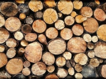 В Україні відкрили державний інтернет-магазин дров для населення