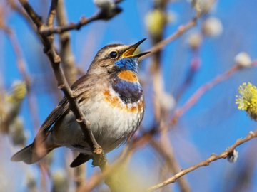 27 травня: чого не можна робити в цей день