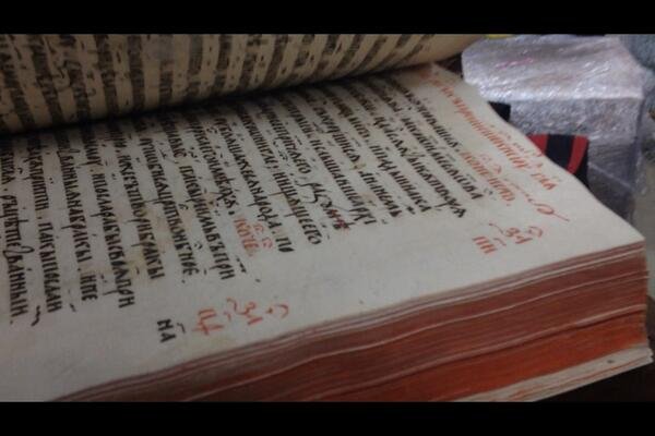 Покинуті скарби Януковича у Межигір'ї. ФОТО