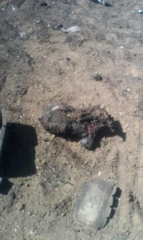 Під Луганськом знайшли обгорілі тіла чотирьох українських військових. ФОТО18+