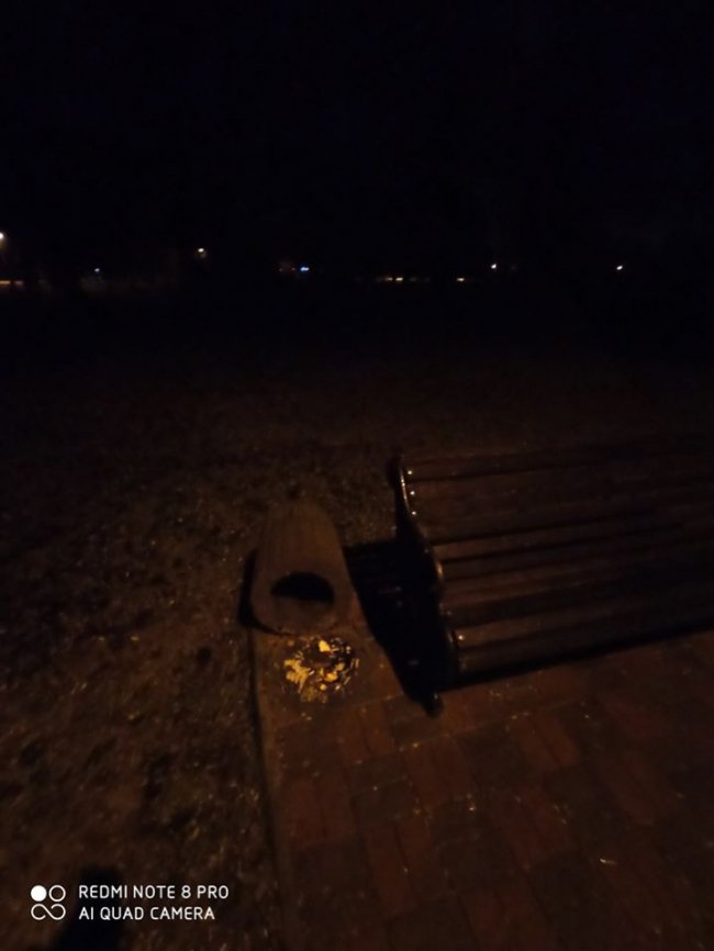 «Група приматів-вандалів» вкотре поперекидала смітники у луцькому парку. ФОТО