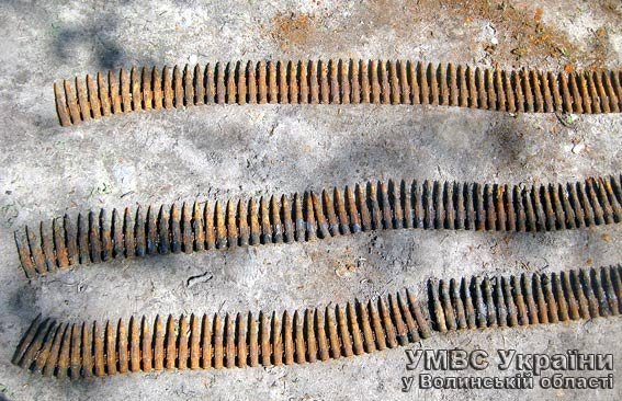 Волинянин здав у міліцію 300 набоїв. ФОТО