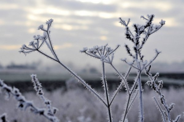Волинь в льодяному тумані. ФОТО