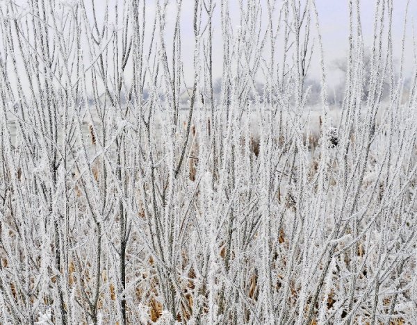 Волинь в льодяному тумані. ФОТО