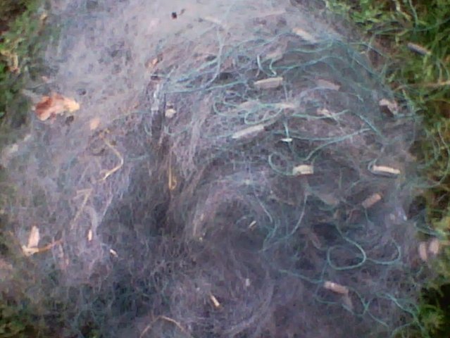 За тиждень на Волині рибні браконьєри завдали більше трьох тисяч гривень збитків