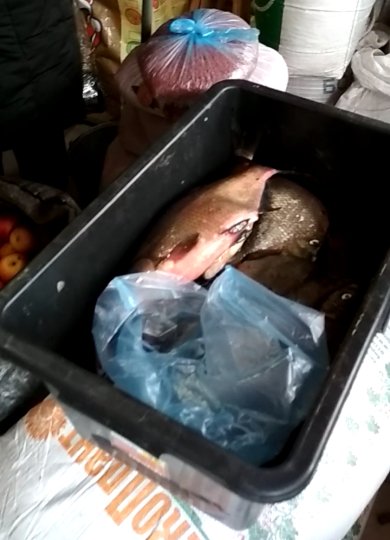 У 2019 році рибні браконьєри на Волині завдали шкоди на 70 тисяч гривень