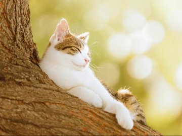 Головні новини 10 березня у Луцьку, на Волині та в Україні. ВІДЕО